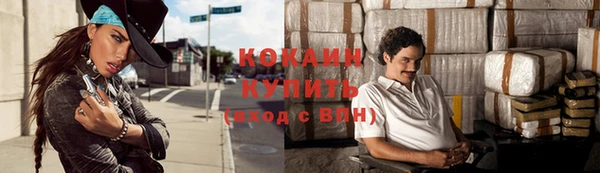 мдпв Богданович