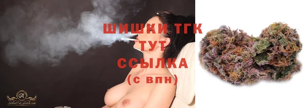 дмт Богородск