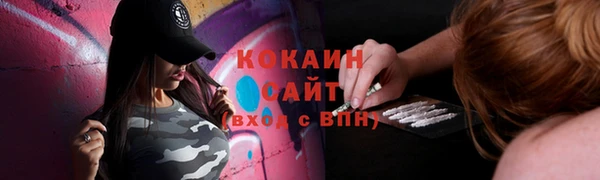 дмт Богородск