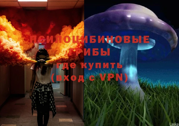 дмт Богородск