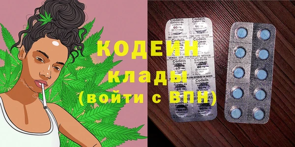 дмт Богородск