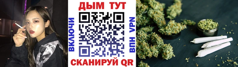как найти закладки  Кстово  Канабис сатива 